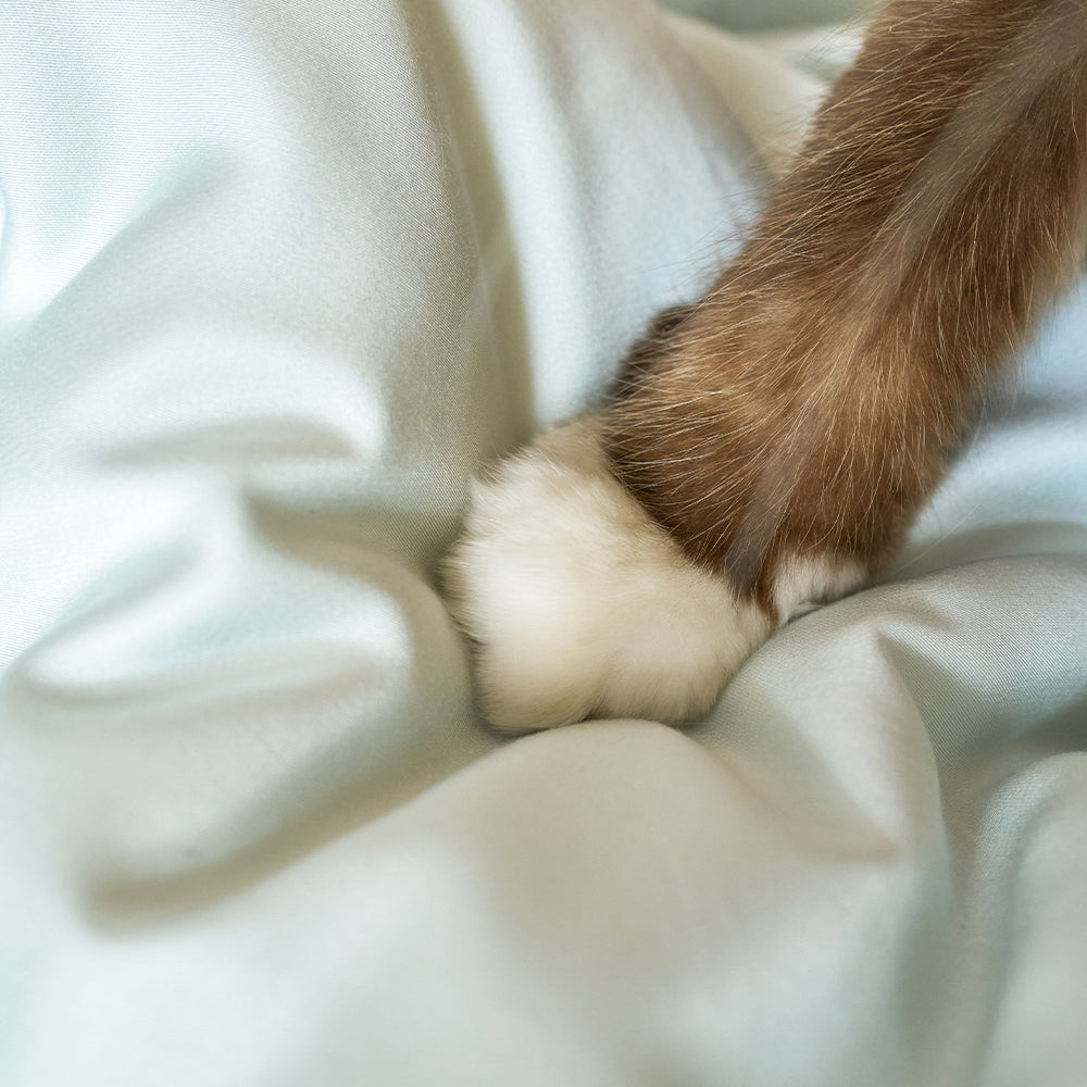 Pet Hair Resistant Bamboo Bedding – Cooling Sheet Set