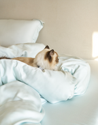 Pet Hair Resistant Bamboo Bedding – Cooling Sheet Set