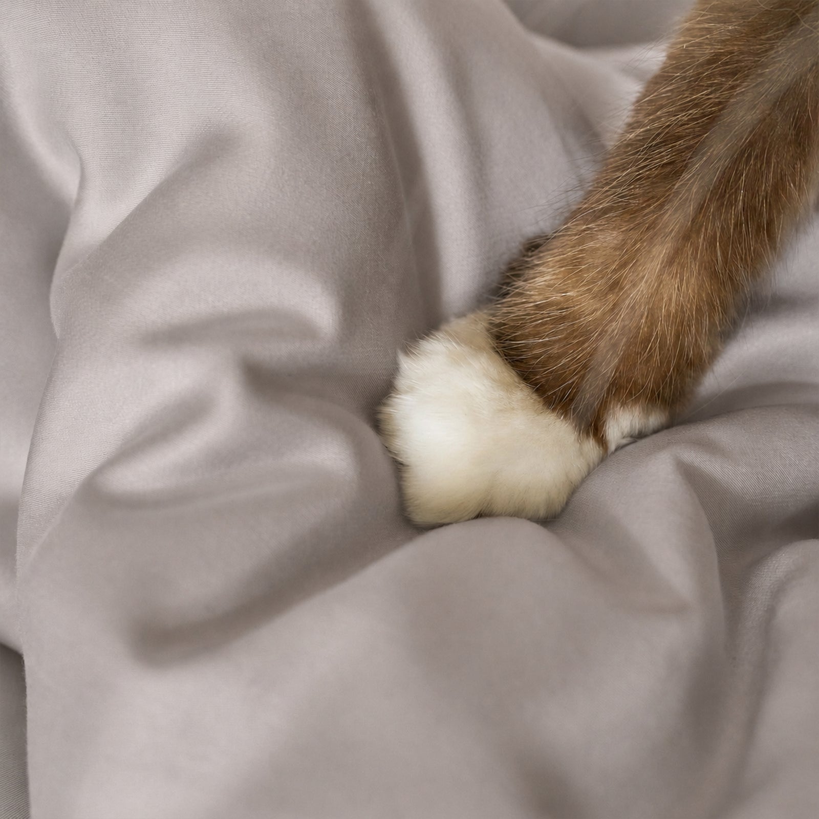 Pet Hair Resistant Bamboo Bedding – Cooling Sheet Set