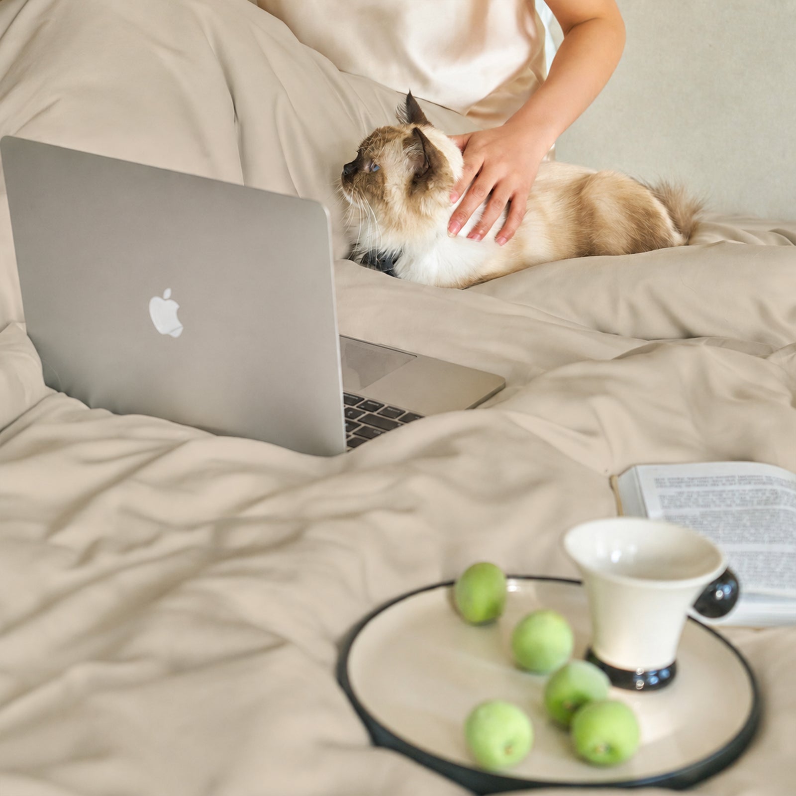 Pet Hair Resistant Bamboo Bedding – Cooling Sheet Set