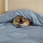 Pet Hair Resistant Bamboo Bedding – Cooling Sheet Set